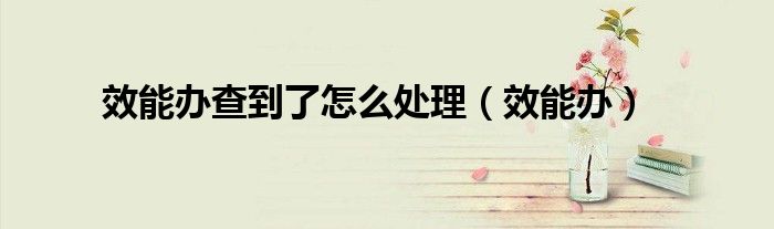 效能办查到了怎么处理(效能办)