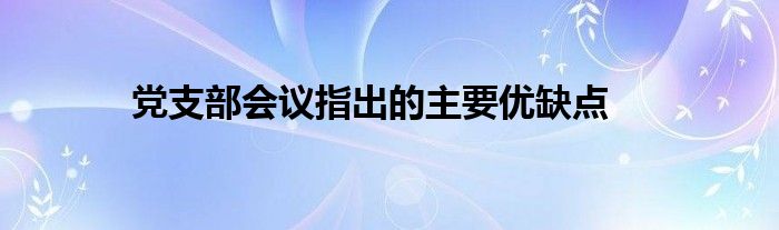 党支部会议指出的主要优缺点