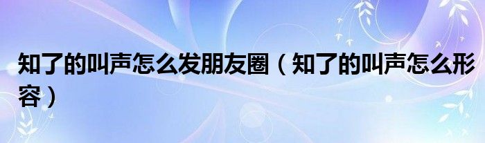 知了的叫声怎么发朋友圈(知了的叫声怎么形容)
