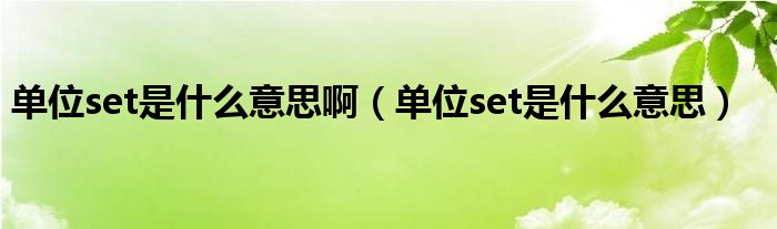 单位set是什么意思啊(单位set是什么意思)