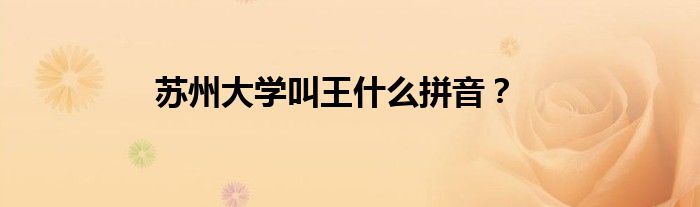 苏州大学叫王什么拼音?