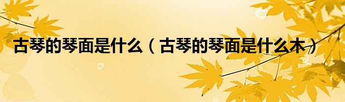 古琴的琴面是什么(古琴的琴面是什么木)