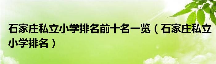 石家庄私立小学排名前十名一览(石家庄私立小学排名)