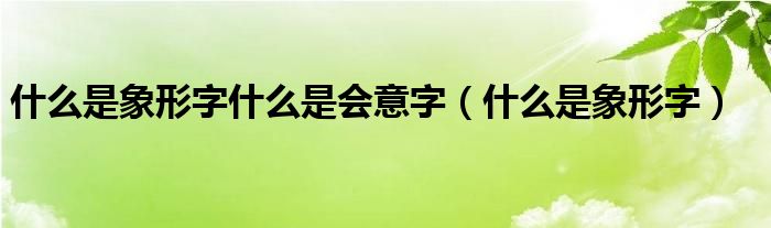 什么是象形字什么是会意字(什么是象形字)