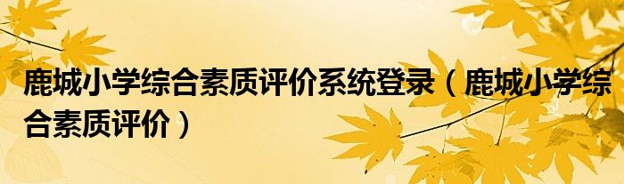 鹿城小学综合素质评价系统登录(鹿城小学综合素质评价)