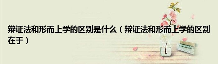 辩证法和形而上学的区别是什么(辩证法和形而上学的区别在于)