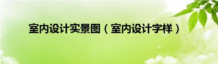 室内设计实景图(室内设计字样)