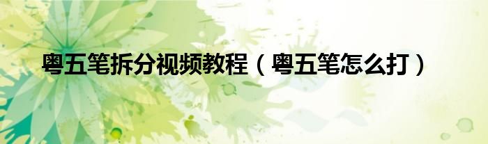 粤五笔拆分视频教程(粤五笔怎么打)