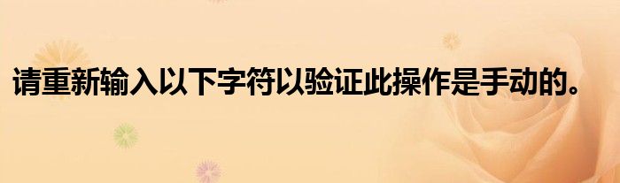 请重新输入以下字符以验证此操作是手动的。
