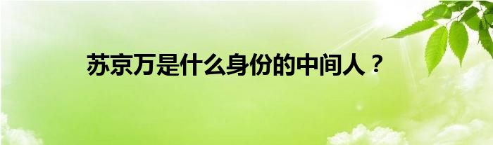 苏京万是什么身份的中间人?
