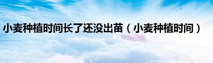 小麦种植时间长了还没出苗(小麦种植时间)
