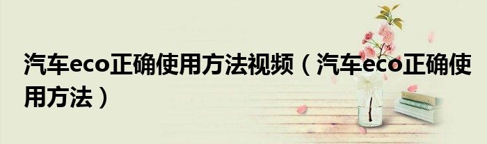 汽车eco正确使用方法视频(汽车eco正确使用方法)