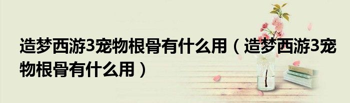 造梦西游3宠物根骨有什么用(造梦西游3宠物根骨有什么用)