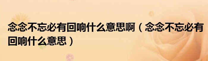 念念不忘必有回响什么意思啊(念念不忘必有回响什么意思)