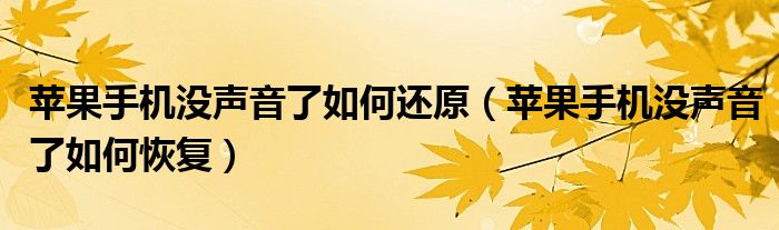 苹果手机没声音了如何还原(苹果手机没声音了如何恢复)
