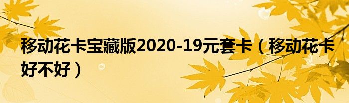 移动花卡宝藏版2020-19元套卡(移动花卡好不好)