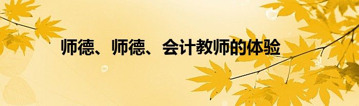 师德、师德、会计教师的体验