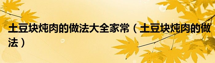 土豆块炖肉的做法大全家常(土豆块炖肉的做法)