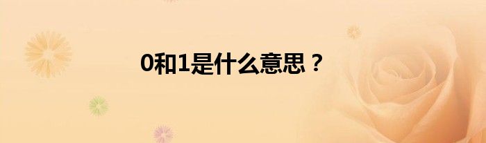 0和1是什么意思？