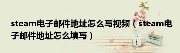 steam电子邮件地址怎么写视频(steam电子邮件地址怎么填写)