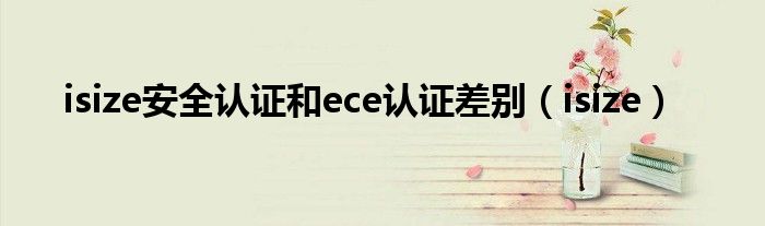 isize安全认证和ece认证差别(isize)