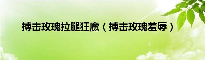 搏击玫瑰拉腿狂魔(搏击玫瑰羞辱)