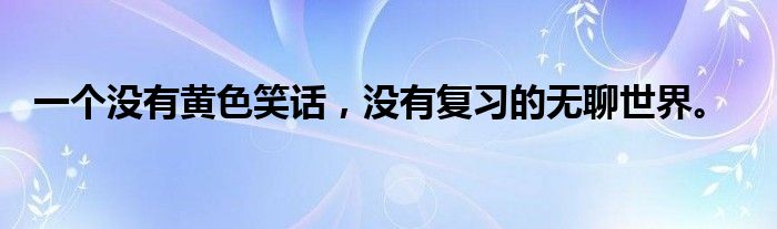 一个没有黄色笑话,没有复习的无聊世界。