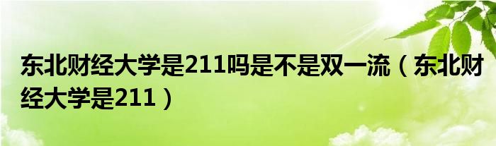 东北财经大学是211吗是不是双一流(东北财经大学是211)