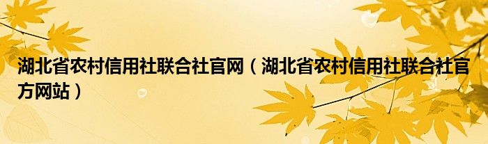 湖北省农村信用社联合社官网(湖北省农村信用社联合社官方网站)
