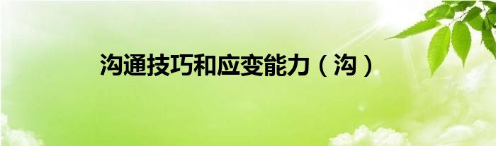 沟通技巧和应变能力(沟)