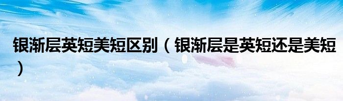 银渐层英短美短区别(银渐层是英短还是美短)