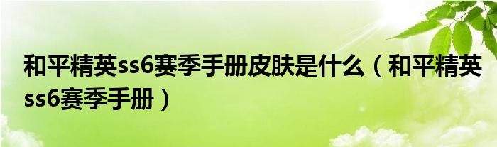 和平精英ss6赛季手册皮肤是什么(和平精英ss6赛季手册)
