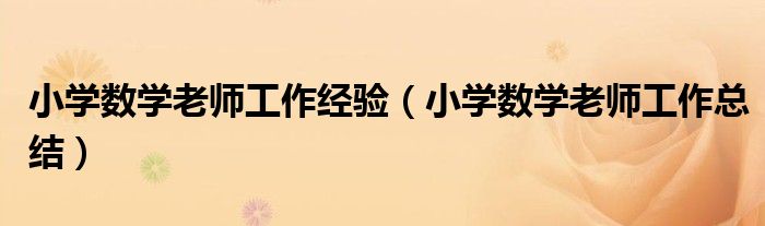 小学数学老师工作经验(小学数学老师工作总结)