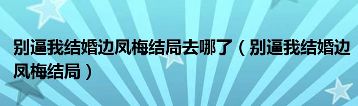 别逼我结婚边凤梅结局去哪了(别逼我结婚边凤梅结局)