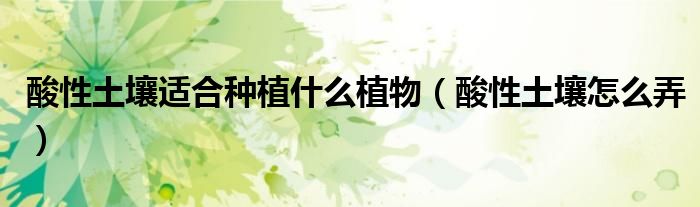 酸性土壤适合种植什么植物(酸性土壤怎么弄)