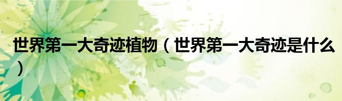 世界第一大奇迹植物(世界第一大奇迹是什么)