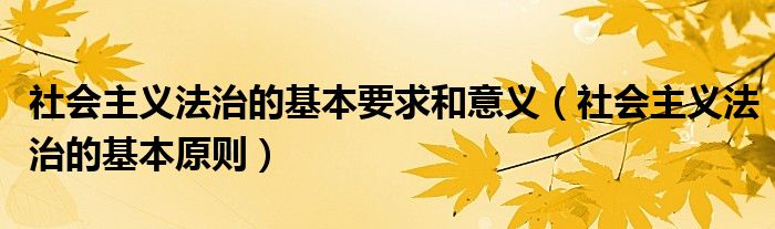 社会主义法治的基本要求和意义(社会主义法治的基本原则)