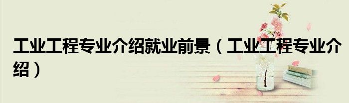 工业工程专业介绍就业前景(工业工程专业介绍)