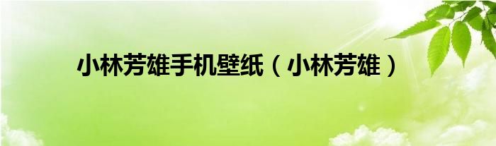 小林芳雄手机壁纸(小林芳雄)