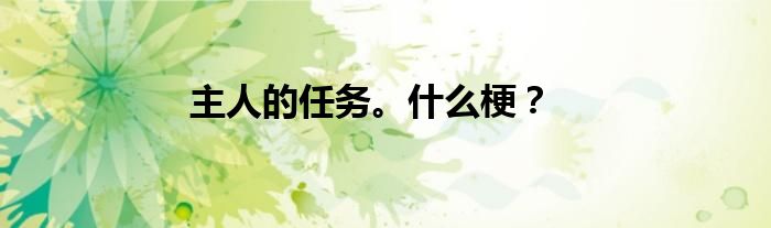 主人的任务。什么梗？