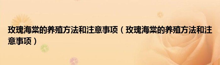 玫瑰海棠的养殖方法和注意事项(玫瑰海棠的养殖方法和注意事项)