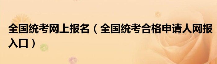 全国统考网上报名(全国统考合格申请人网报入口)