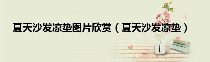 夏天沙发凉垫图片欣赏(夏天沙发凉垫)
