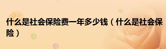 什么是社会保险费一年多少钱(什么是社会保险)