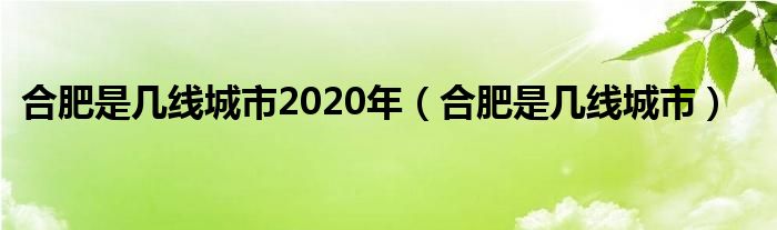 合肥是几线城市2020年(合肥是几线城市)