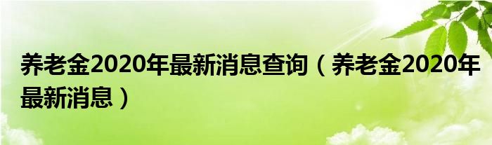 养老金2020年最新消息查询(养老金2020年最新消息)