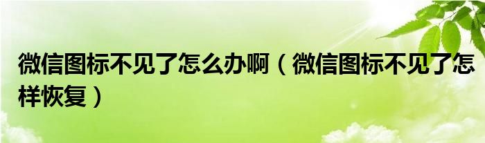 微信图标不见了怎么办啊(微信图标不见了怎样恢复)