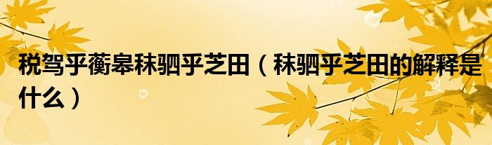 税驾乎蘅皋秣驷乎芝田(秣驷乎芝田的解释是什么)