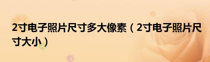 2寸电子照片尺寸多大像素(2寸电子照片尺寸大小)