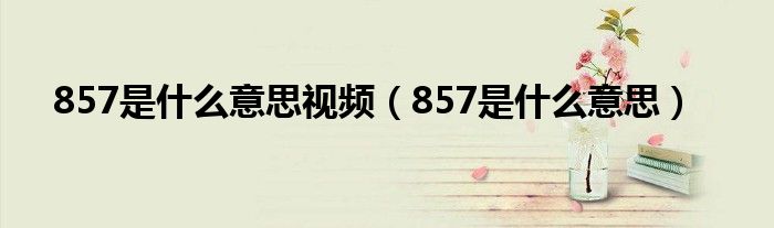 857是什么意思视频(857是什么意思)
